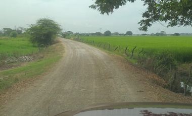 Terreno e venta en Samborondón