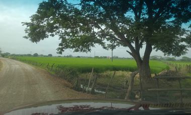 Terreno e venta en Samborondón