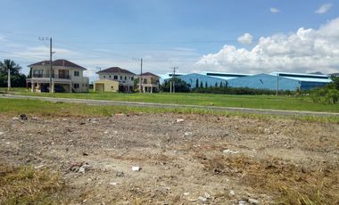 For Sale 228 Sqm Residential Beach Lot for Sale at Fonte de Versailles, Minglanilla, Cebu