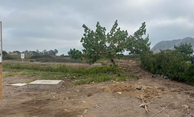 Venta Lote en Sur de Lima, zona Mala en Condominio Praderas del Sur. Ideal para familia y construir una casa de campo.