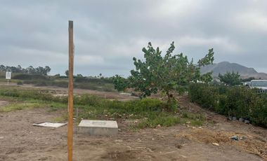 Venta Lote en Sur de Lima, zona Mala en Condominio Praderas del Sur. Ideal para familia y construir una casa de campo.