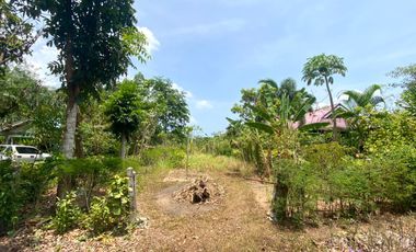 Over 1 rai of flat land perfect for building pool villa for sale in Mai Khao, Phuket.