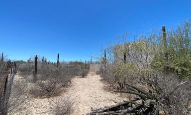 Terreno Palo Amarillo en El Centenario