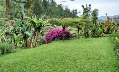 Vive la naturaleza: finca en venta en Caldas, Antioquia
