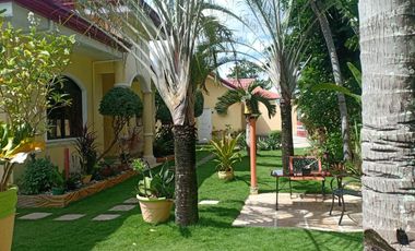 House and Lot with Swimming Pool in Lapulapu City (1000sqm lot area)