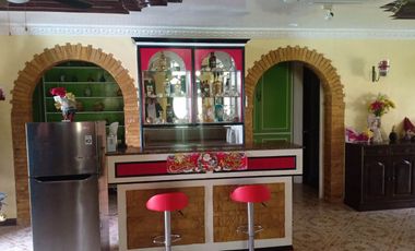 House and Lot with Swimming Pool in Lapulapu City (1000sqm lot area)