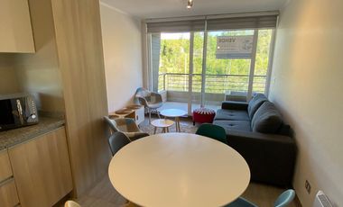 GOLONDRINA SUR ARRIENDO DEPTO. 1D1B EN PARQUE PAYLLAHUE