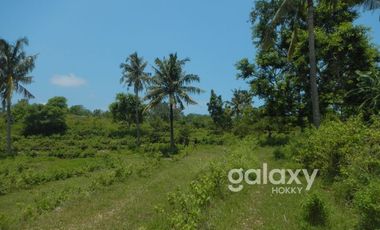 DIJUAL TANAH SEKARTAJI NUSA PENIDA KLUNGKUNG, BALI
