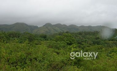 DIJUAL TANAH SEKARTAJI NUSA PENIDA KLUNGKUNG, BALI