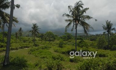 DIJUAL TANAH SEKARTAJI NUSA PENIDA KLUNGKUNG, BALI