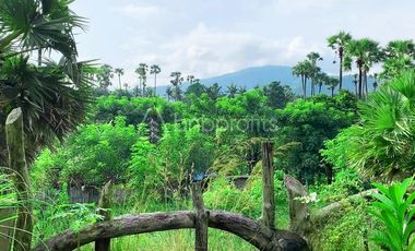 Idyllic 4 Villas & 4 Bungalows for Nature Isolation: A Retreat Center Freehold Property Close to Beach in Karangasem, Bali