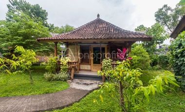 Idyllic 4 Villas & 4 Bungalows for Nature Isolation: A Retreat Center Freehold Property Close to Beach in Karangasem, Bali