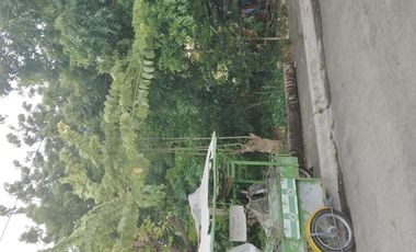 167 sq.m. lot for sale in a resort subdivision-Corona del Mar-Talisay City,Cebu