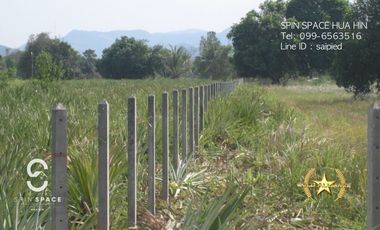 Land For Sale Near Wat Mongkol Hua Hin