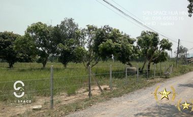 Land For Sale Near Wat Mongkol Hua Hin
