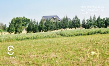 Land For Sale Near Wat Mongkol Hua Hin