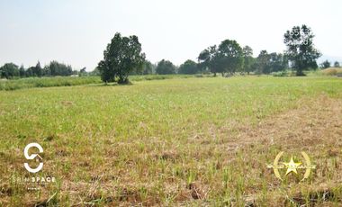 Land For Sale Near Wat Mongkol Hua Hin