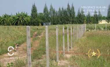 Land For Sale Near Wat Mongkol Hua Hin
