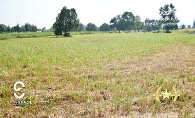 Land For Sale Near Wat Mongkol Hua Hin