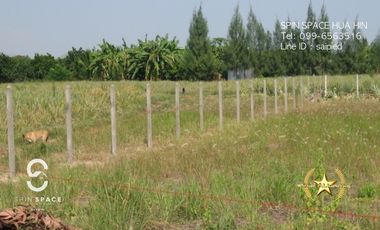 Land For Sale Near Wat Mongkol Hua Hin