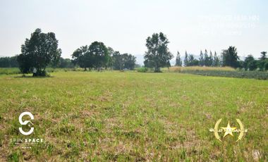 Land For Sale Near Wat Mongkol Hua Hin