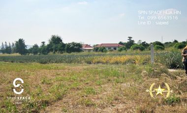 Land For Sale Near Wat Mongkol Hua Hin