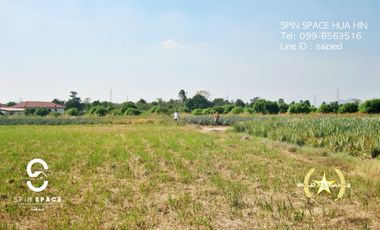 Land For Sale Near Wat Mongkol Hua Hin