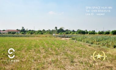 Land For Sale Near Wat Mongkol Hua Hin