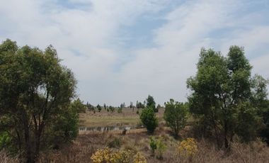 Terreno en venta Los Reflejos Tapalpa