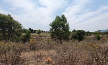 Terreno en venta Los Reflejos Tapalpa
