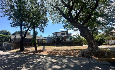 PNM - FOR LEASE: 482 sqm Lot in Valle Verde 5, Pasig
