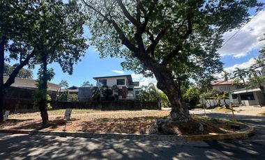 PNM - FOR LEASE: 482 sqm Lot in Valle Verde 5, Pasig