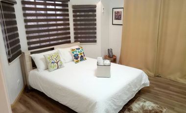Mary Fully furnished Villa near Clark to Airport