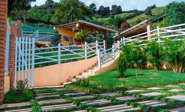 VENDO CASA  FINCA EN DAPA