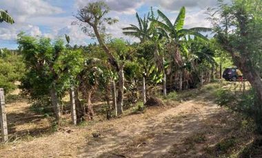 2.8 Hectares Farm Lot with House for Sale at Lipa, Batangas City