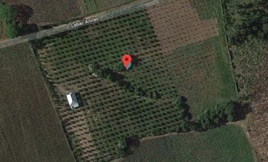 2.8 Hectares Farm Lot with House for Sale at Lipa, Batangas City