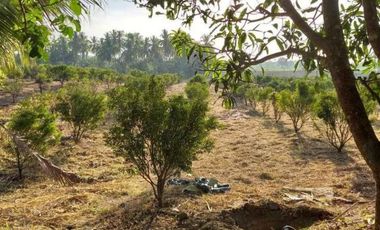 2.8 Hectares Farm Lot with House for Sale at Lipa, Batangas City