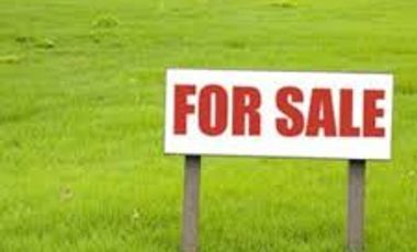 Lot for Sale East Greenhills Ortigas ave. corner property
