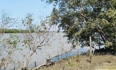 Land for sale in Bang Pakong,38 m. on Bang Pakong River, 15.5 rai