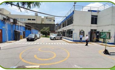 Local Comercial en Los Olivos de 10,000 m2