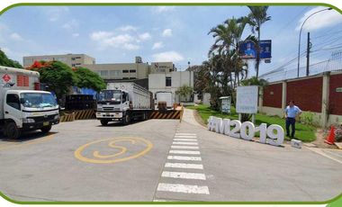Local Comercial en Los Olivos de 10,000 m2