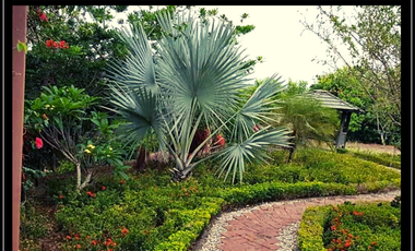 Hermosa Casa de Campo en Alquiler Lomas del Bosque