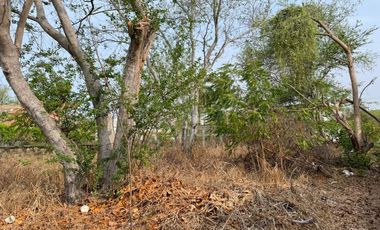 PRECIOSO TERRENO EN VENTA EN PUERTO ESCONDIDO