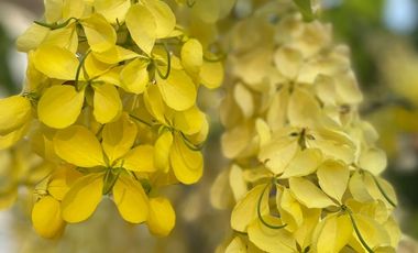 PRECIOSO TERRENO EN VENTA EN PUERTO ESCONDIDO