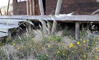 Parcela En Santa Rosa Lavadero V 714-85-LR-11.17