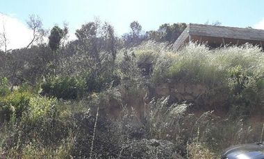 Parcela En Santa Rosa Lavadero V 714-85-LR-11.17