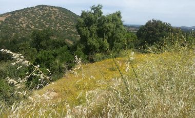 Parcela En Santa Rosa Lavadero V 714-85-LR-11.17