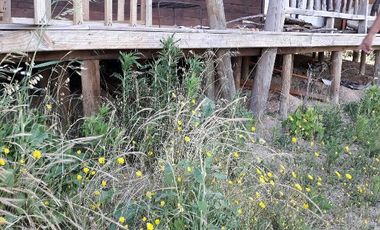 Parcela En Santa Rosa Lavadero V 714-85-LR-11.17