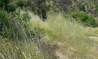 Parcela En Santa Rosa Lavadero V 714-85-LR-11.17