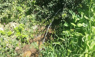 Parcela En Santa Rosa Lavadero V 714-85-LR-11.17